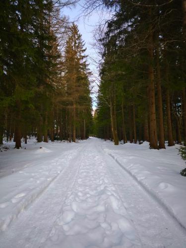 a snow covered road in a forest with trees at Apartament Górski Widok in Szklarska Poręba