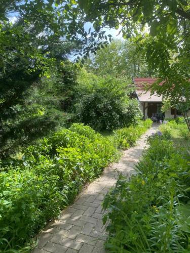 a brick path leading to a house in a garden at Rácz Vendégház in Lajosmizse