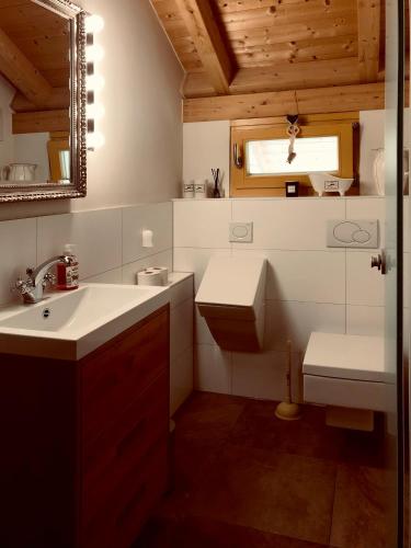 a bathroom with a sink and a toilet and a mirror at Gut Müllerleile Ferienhaus in Gengenbach