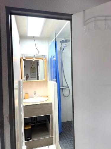 une salle de bain avec un lavabo et une douche avec un miroir dans l'établissement Résidence Alpina 1, à Les Deux Alpes