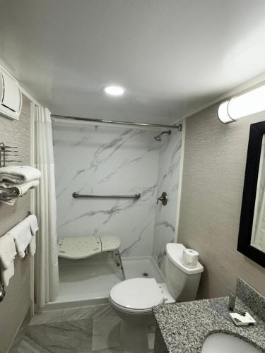 a white bathroom with a toilet and a shower at Finger lakes inn & suites in Bath