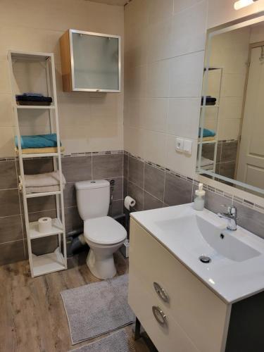 a bathroom with a toilet and a sink and a mirror at Studio cabine face au Cambre d'aze in Saint-Pierre-dels-Forcats