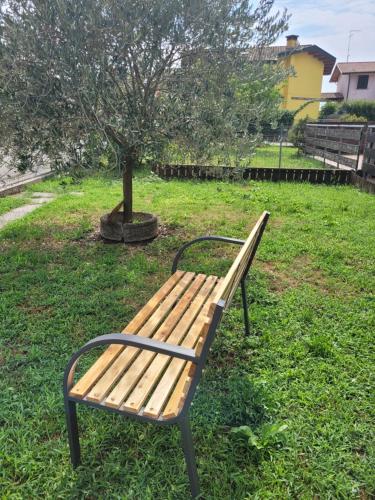 a wooden bench sitting in the grass next to a tree at Castelletto in Castello dʼAviano
