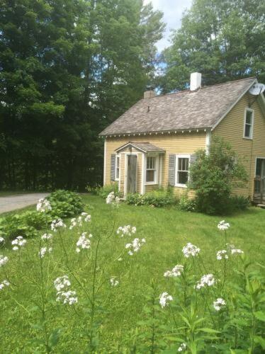a small house in the middle of a field of flowers at Yellow Sweetie at the Base of Stratton in Jamaica