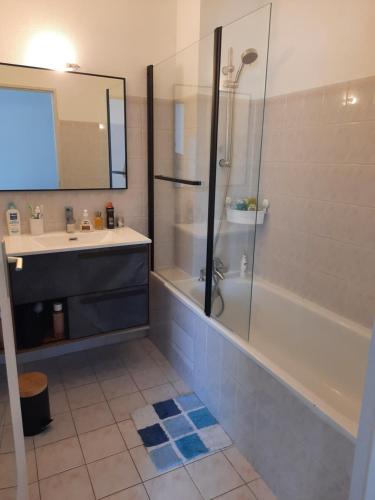 une salle de bain avec une douche, un lavabo et une baignoire dans l'établissement Appartement 40M2, 1 chambre, à Fontainebleau