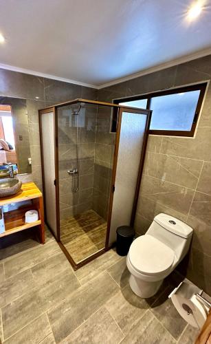 a bathroom with a toilet and a shower at Cabañas Anavai Rapa Nui in Hanga Roa
