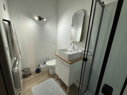 ein weißes Badezimmer mit Waschbecken und Toilette in der Unterkunft Petite maison indépendante avec parking in Vétheuil