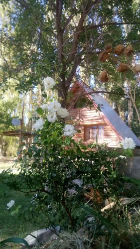 Galeriebild der Unterkunft Cabaña Alpina in Rodeo