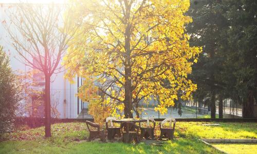 a table and chairs in a park with a tree at Modern Loft Near Lake Como in Bulciago