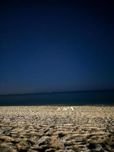 a group of animals walking on the beach at Chiara’s Home in Davoli