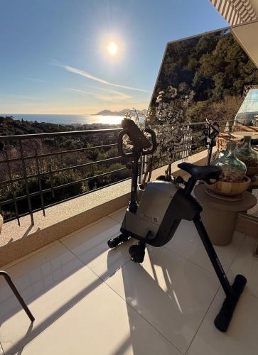 Photo de la galerie de l'établissement 2 Pièces 38m2 vue imprenable sur la baie de Cannes, à Cannes