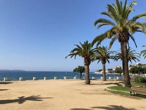 un parc avec des palmiers et un banc sur la plage dans l'établissement Casamea - Escapade en bord de mer, Accès plage, à Ajaccio