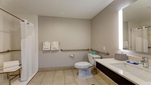 Koupelna v ubytování Holiday Inn Express & Suites Ashtabula-Geneva by IHG
