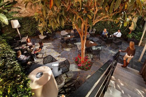 Olivia Plaza Hotel photo 47