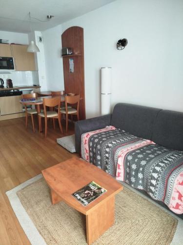 a living room with a couch and a table at Résidence Le Pic du Midi - maeva Home - Appartement 2 pièces 4 personnes - Confort MAE-1931 in La Mongie