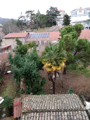 Un palmier avec une bande de bananes. dans l'établissement Au bon repos 6 personnes, à Annonay