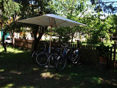 Jízda na kole v ubytování Bed And Breakfast Di Manu nebo okolí