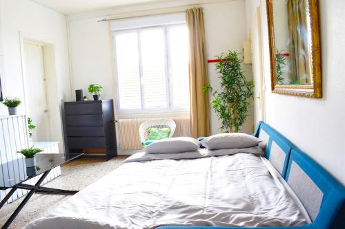 appartement bleu
