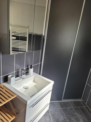 une salle de bain avec un lavabo blanc et un miroir dans l'établissement T2 Proche plage aux phoques avec parking, à Berck-sur-Mer