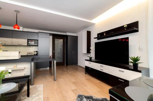 a living room with a large flat screen tv at BNB New Beautiful Apartment in the Center of Ostrava with option Garage Parking in Moravská Ostrava