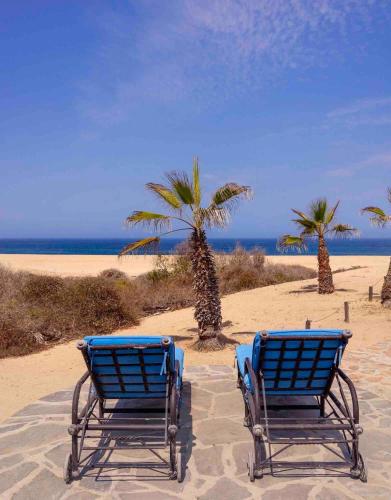 two blue chairs on a beach with palm trees at Entire Villa Private Beach Front Oasis at Punta Lobos - Casa Punta Lobos in Todos Santos
