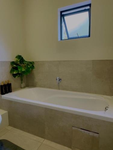 a bath tub with a potted plant in a bathroom at Dimension 1 in Midrand