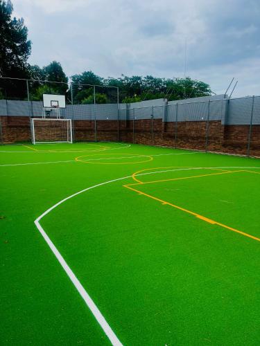 a green court with a basketball hoop on it at Dimension 1 in Midrand