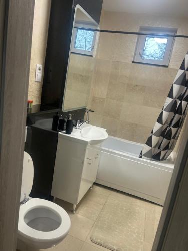 a bathroom with a toilet and a sink and a bath tub at 2Na-Apart in Cluj-Napoca