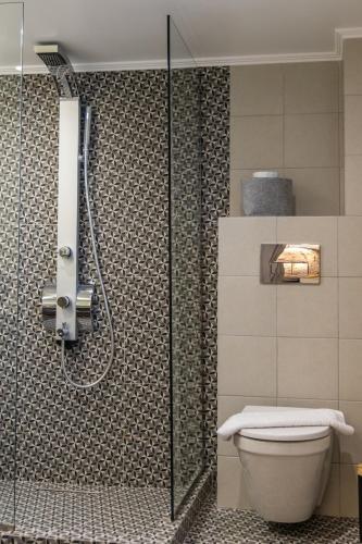 a bathroom with a shower and a toilet at Aragma Home in Adamantas
