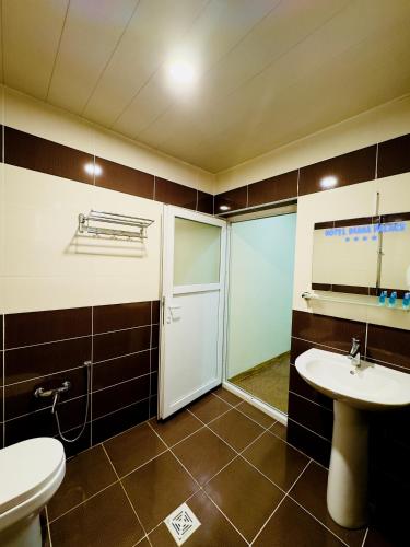 a bathroom with a toilet and a sink at Diana Palace Hotel in Diyānah