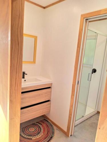 a bathroom with a sink and a mirror at The Distillery- Lavender Farm Studio apartment in Normanby