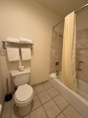 a bathroom with a toilet and a shower at Abajo Lodge in Monticello