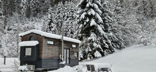 a small cabin in the snow with snow covered trees at Tiny House im Grünen in Sankt Margrethen