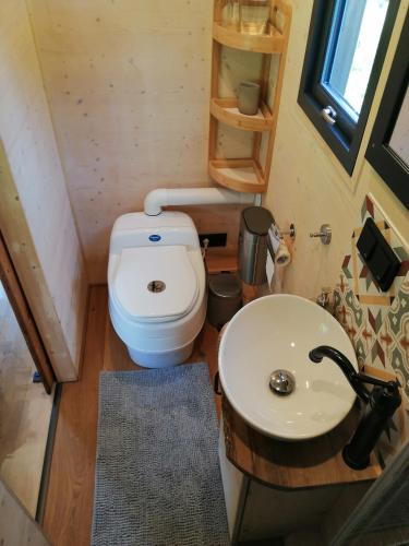 a small bathroom with a toilet and a sink at Tiny House im Grünen in Sankt Margrethen