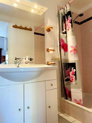 une salle de bain avec un lavabo et une douche dans l'établissement Villa de vacances à la Marina avec WIFI proche plage, à Saint Cyprien Plage