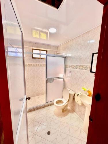 a bathroom with a shower and a toilet and a sink at Posada Seven Colours Ocean in Providencia