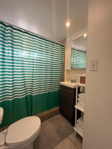 a bathroom with a toilet and a green shower curtain at CASA PLAYA - Beachfront Paradise sandy beach in Ensenada