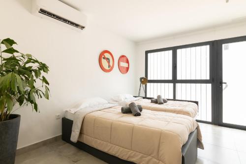 NEW BEACH Flats Valencia 2