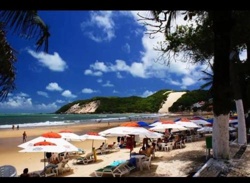 Příroda nedaleko apartmánu