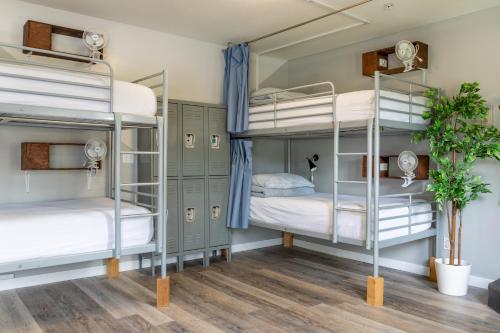 a room with bunk beds in a hostel at Samesun Banff Hostel in Banff