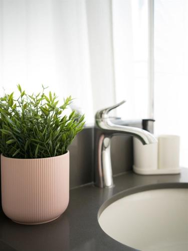 a bathroom sink with a potted plant on the counter at Renovated Retreat 4BR Oasis w Pool and Pool Table in Tustin