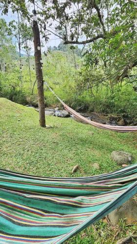 a hammock tied to a tree in a field at Glamping Bellavista - Escapada Romántica en el Lago Calima in Darién