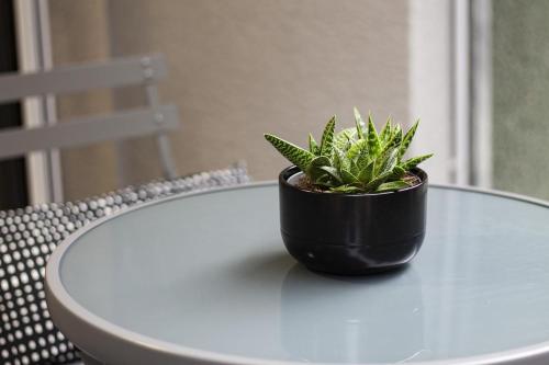 a plant sitting on top of a table at Lungolago Modern FD Apartments in Como