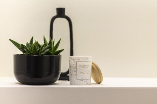 a plant in a black pot next to a lamp at Lungolago Modern FD Apartments in Como