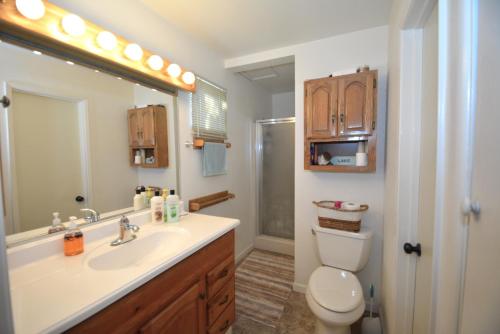 a bathroom with a sink and a toilet and a mirror at Ledge House-Lake Area in Bass Lake