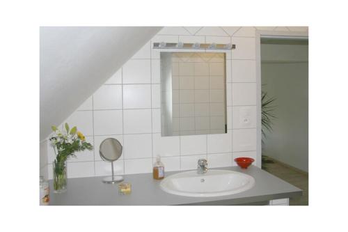 une salle de bain avec un lavabo et un miroir dans l'établissement in La Fontenelle, Cuisery, à Cuisery