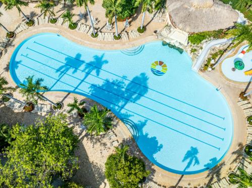 Πισίνα στο ή κοντά στο Hotel Irotama del Mar