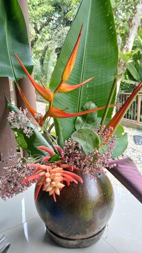 a vase with a plant in it on a table at La Casita in Dos Brazos