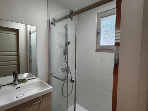 une salle de bain avec douche et lavabo dans l'établissement Maison de charme T3 rénovée avec jardin à Vicq-sur-Gartempe, proche La Roche-Posay - FR-1-541-165, à Vicq-sur-Gartempe