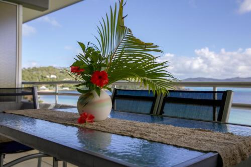 a vase with red flowers sitting on a table at Frangipani 206 beachfront apartment in Hamilton Island